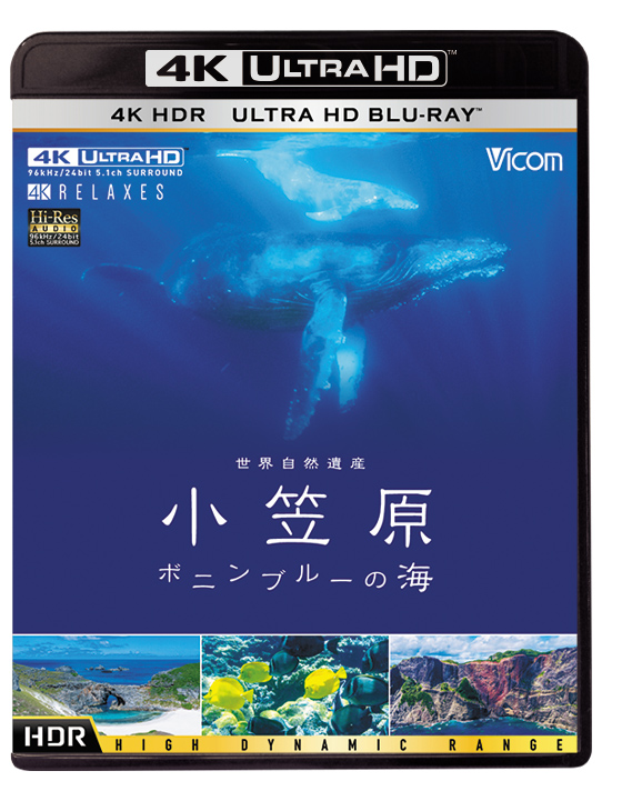 小笠原ボニンブルーの海　水中撮影｜ジール撮影事業部